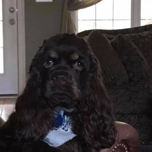 Meet your Posher, Donna